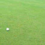 20180413_image