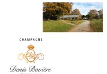 Jeudi 19 mars 2026 – Animation Champagne Bovière – Scramble